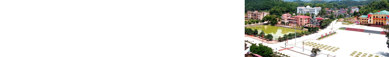 Dang Bo Dien Bien banner right