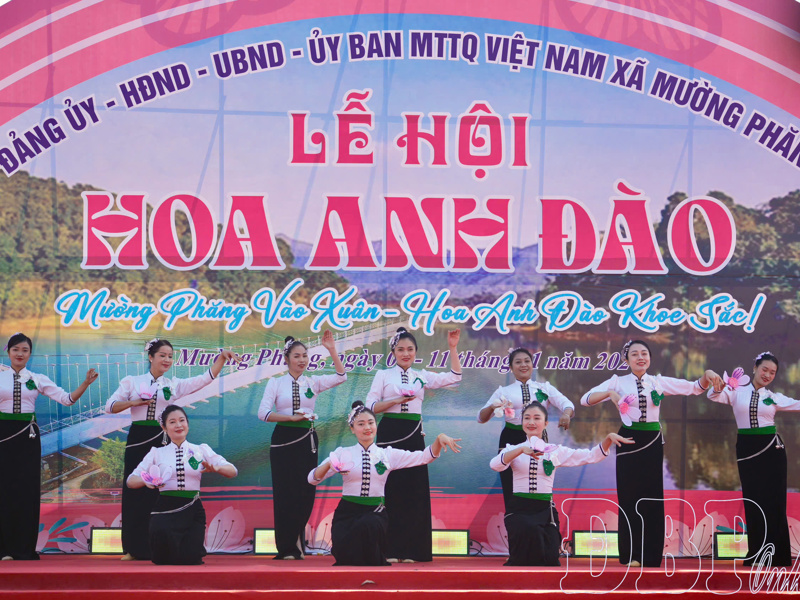 Khai mạc Lễ hội Hoa anh đào “Mường Phăng vào xuân – Hoa anh đào khoe sắc”
