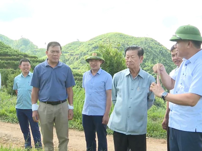 Nguyên Phó Thủ tướng Chính phủ nước CHDCND Lào thăm dự án trồng cây mắc ca tại Điện Biên