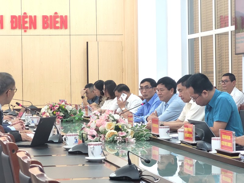 Lãnh đạo tỉnh làm việc với Công ty Vestas Development A/S