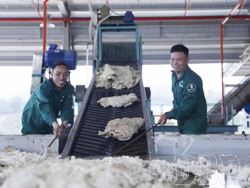 Nâng cao giá trị, sức cạnh tranh cho nông sản