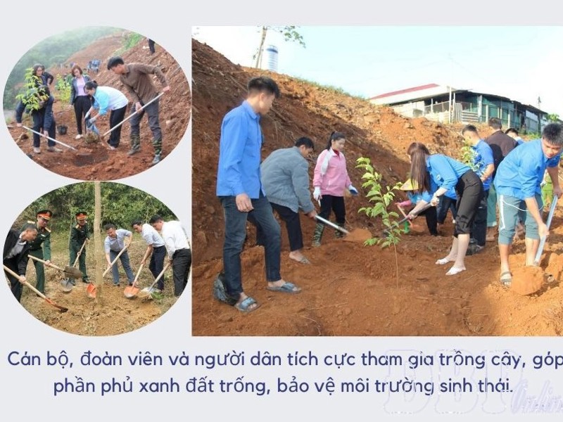 Giữ màu xanh của đại ngàn